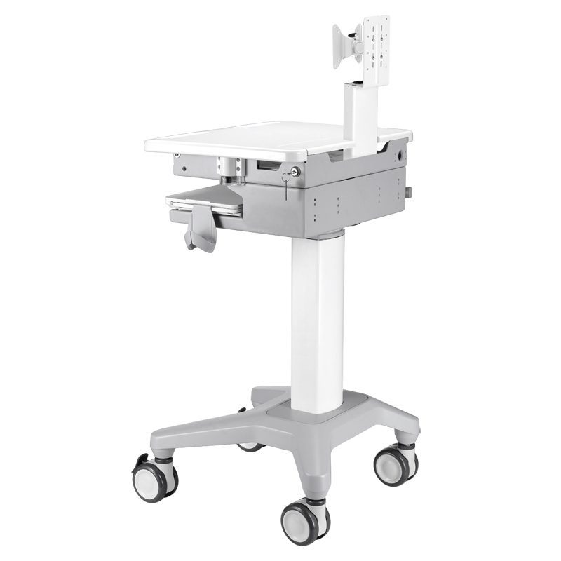 Mobile Computing Cart